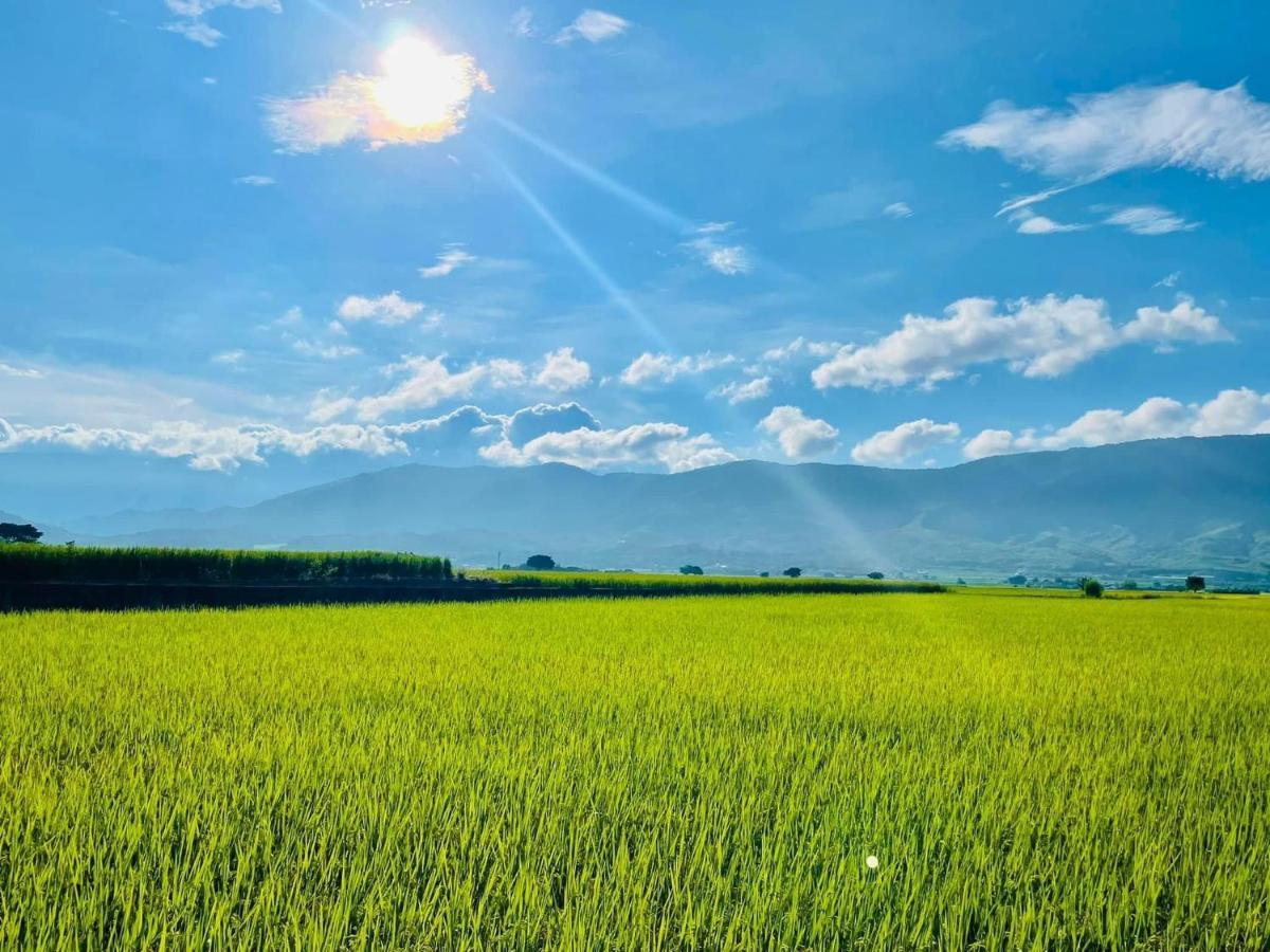 關山稻香田園民宿 Haiduan Buitenkant foto